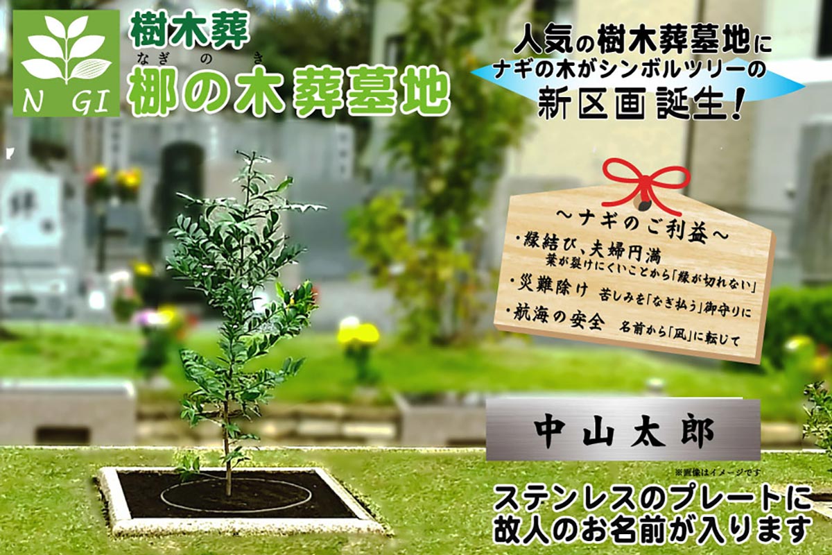ナギの樹をシンボルにした樹木葬です